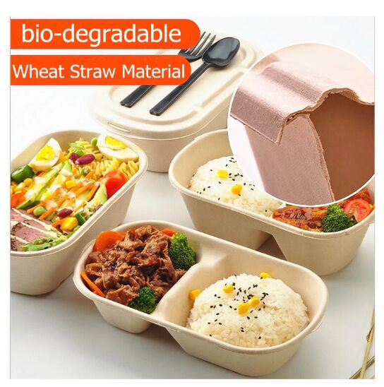 Biodegradable Take Away Disposable Catering Bento Lunch Box 3 Compartment