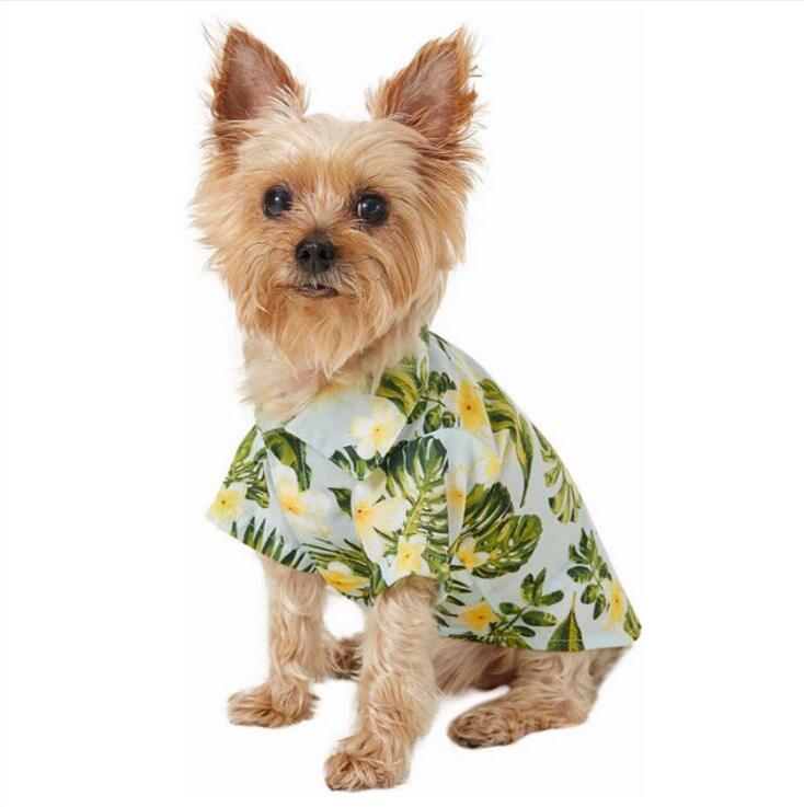 2020 New summer pet dog clothes small dog t shirt french bulldog clothes